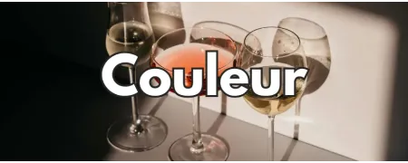 Classement par couleur de notre sélection de vins