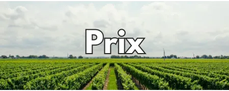 Classement par prix de notre sélection de vins