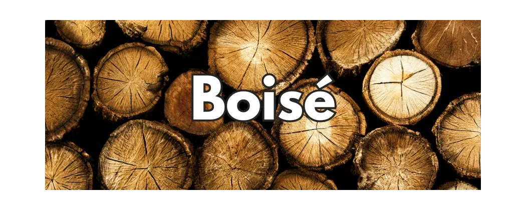 Vin boisé