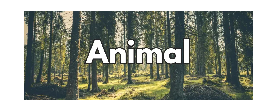 Vin animal