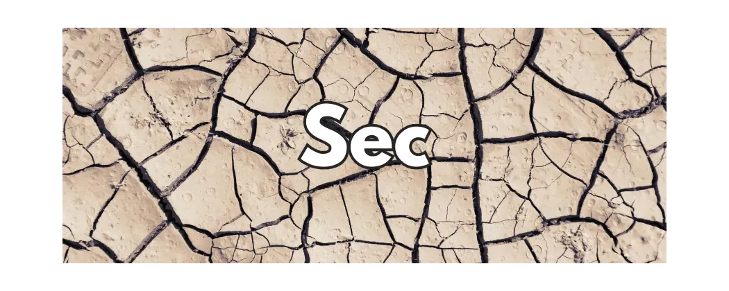 Vin sec