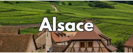 vins d'Alsace, Riesling, Gewurztraminer, vendanges tardives, pinot gri