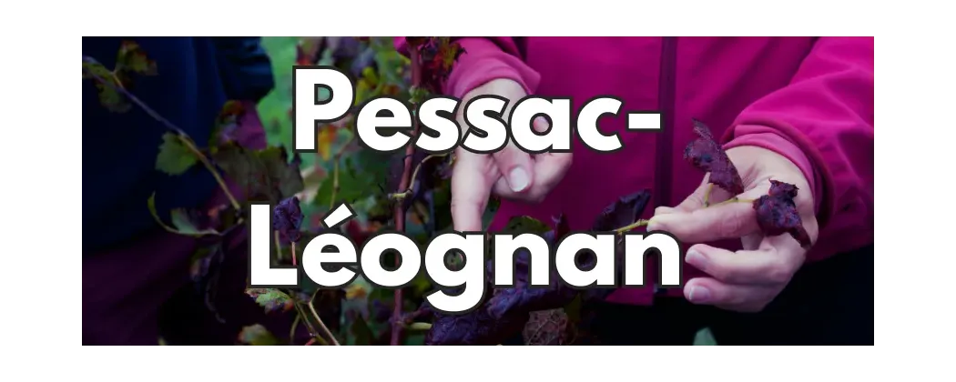 Pessac-Léognan et Graves